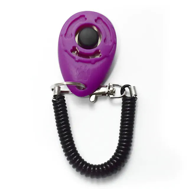 Train Smarter, Not Harder: The Effective Dog Training Clicker