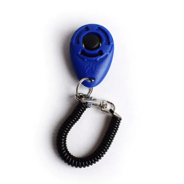 Train Smarter, Not Harder: The Effective Dog Training Clicker