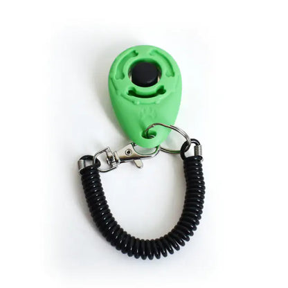 Train Smarter, Not Harder: The Effective Dog Training Clicker