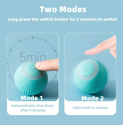 Smart Cat Ball Toys - Wooffy