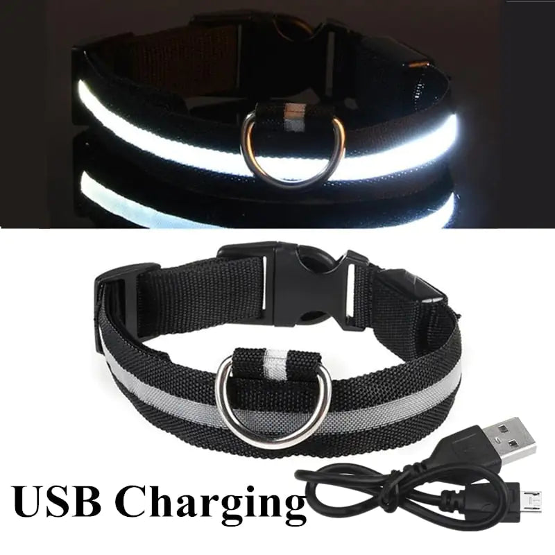 Bright LED Lights & Adjustable Size: The Essential LED Dog Collar - Wooffy