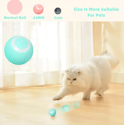 Smart Cat Ball Toys - Wooffy