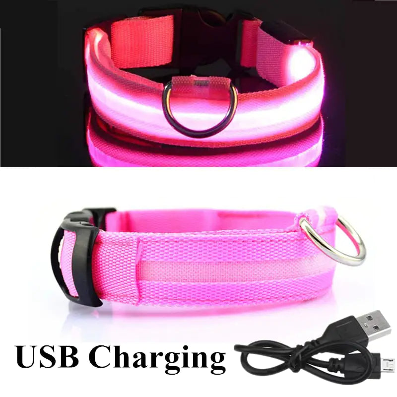 Bright LED Lights & Adjustable Size: The Essential LED Dog Collar - Wooffy