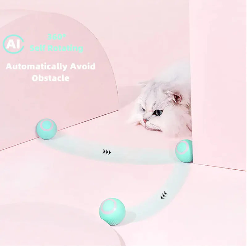 Smart Cat Ball Toys - Wooffy