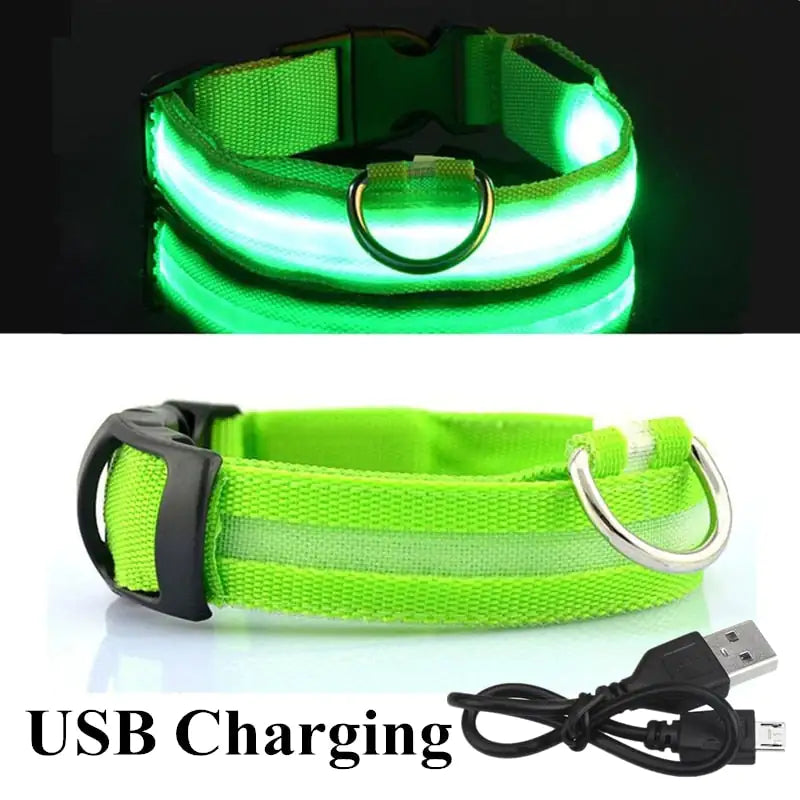 Bright LED Lights & Adjustable Size: The Essential LED Dog Collar - Wooffy
