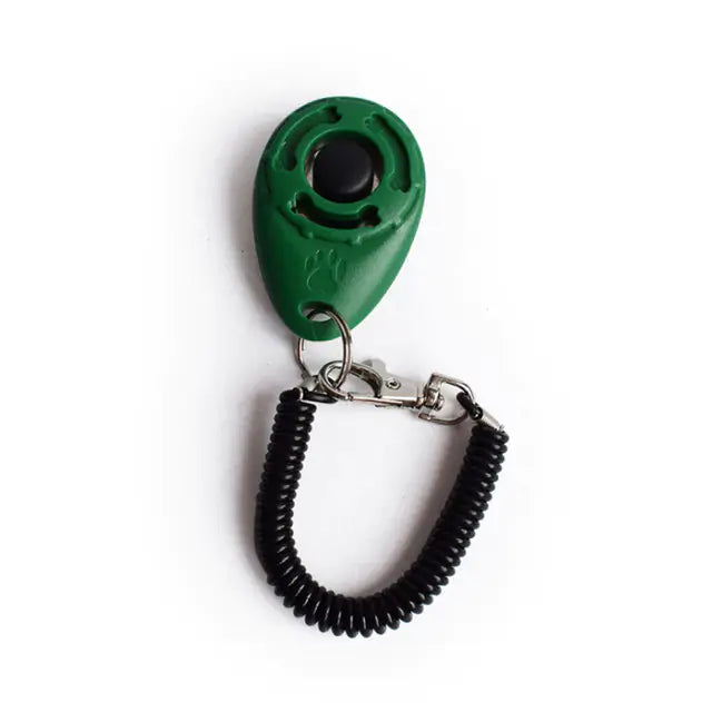 Train Smarter, Not Harder: The Effective Dog Training Clicker