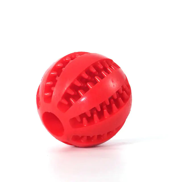 Fetch, Chew, Clean: The Durable Watermelon Dog Chew Toy for Healthy Teeth