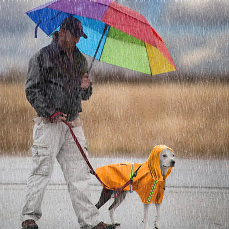 Spring and Summer Dog Raincoat - Wooffy