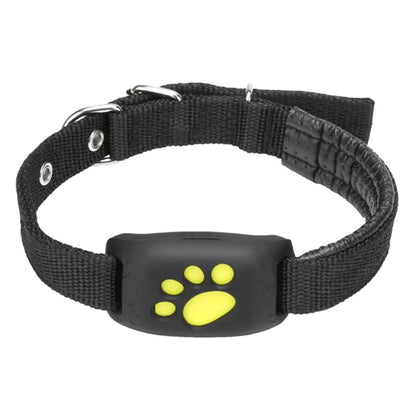 Real-Time Pet GPS Tracker Collar with Adorable Design