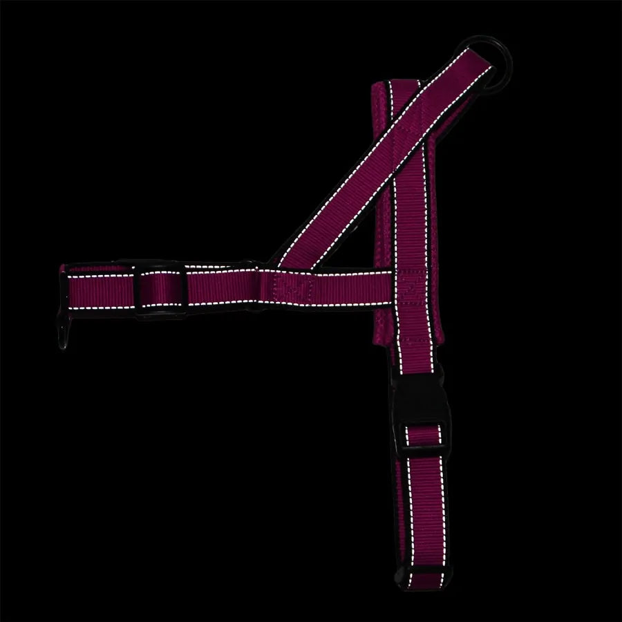 Adjustable Dog Harness : Front & Back D-Rings for Training & Safety