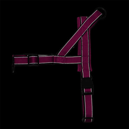 Adjustable Dog Harness : Front & Back D-Rings for Training & Safety