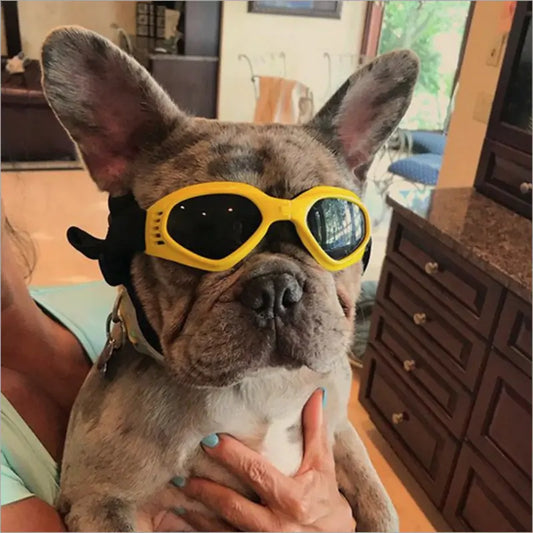 Shield Your Pup's Eyes: Stylish Dog Sunglasses with UV Protection