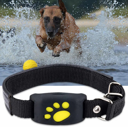 Real-Time Pet GPS Tracker Collar with Adorable Design