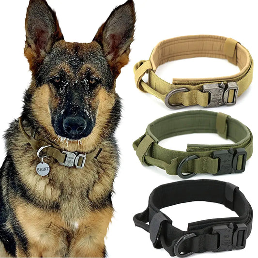 Secure & Comfortable Walks: The Heavy-Duty Tactical Dog 1000D Nylon Collar