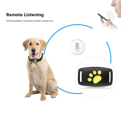 Real-Time Pet GPS Tracker Collar with Adorable Design