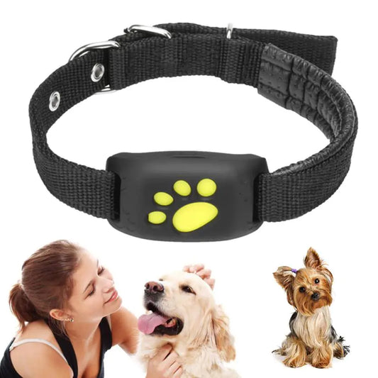 Real-Time Pet GPS Tracker Collar with Adorable Design