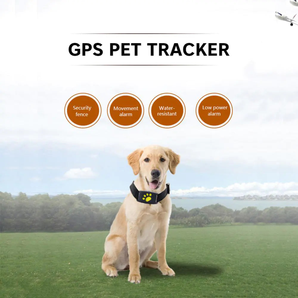 Real-Time Pet GPS Tracker Collar with Adorable Design