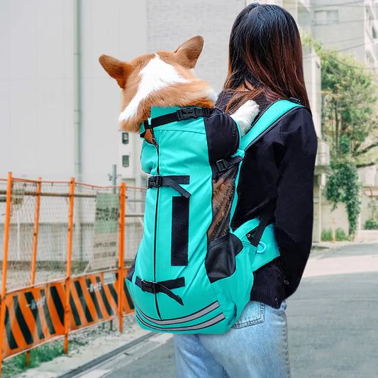 Reflective & Breathable Dog Backpack: Safe & Comfortable Walks & Hikes