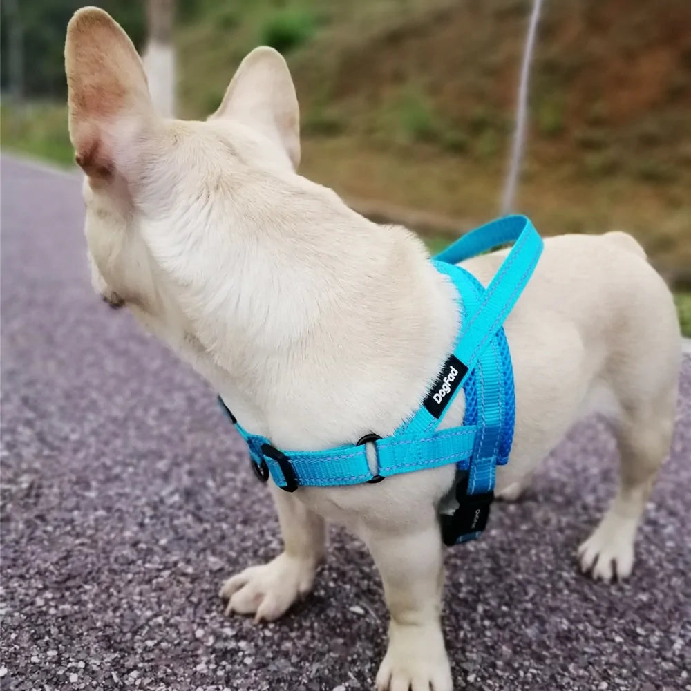 Adjustable Dog Harness : Front & Back D-Rings for Training & Safety