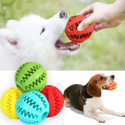 Fetch, Chew, Clean: The Durable Watermelon Dog Chew Toy for Healthy Teeth