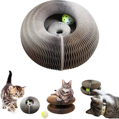 Play & Protect: 2-in-1 Cat Scratcher for Happy Claws & Happy Homes