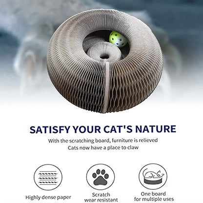 Play & Protect: 2-in-1 Cat Scratcher for Happy Claws & Happy Homes