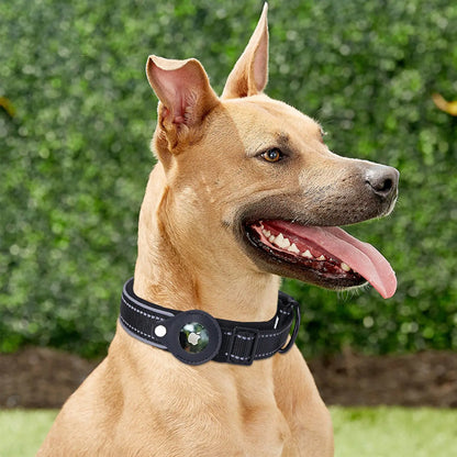 Secure & Durable Airtag Dog Collar: Built for Comfort & All-Day Adventures