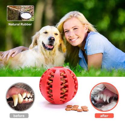 Fetch, Chew, Clean: The Durable Watermelon Dog Chew Toy for Healthy Teeth