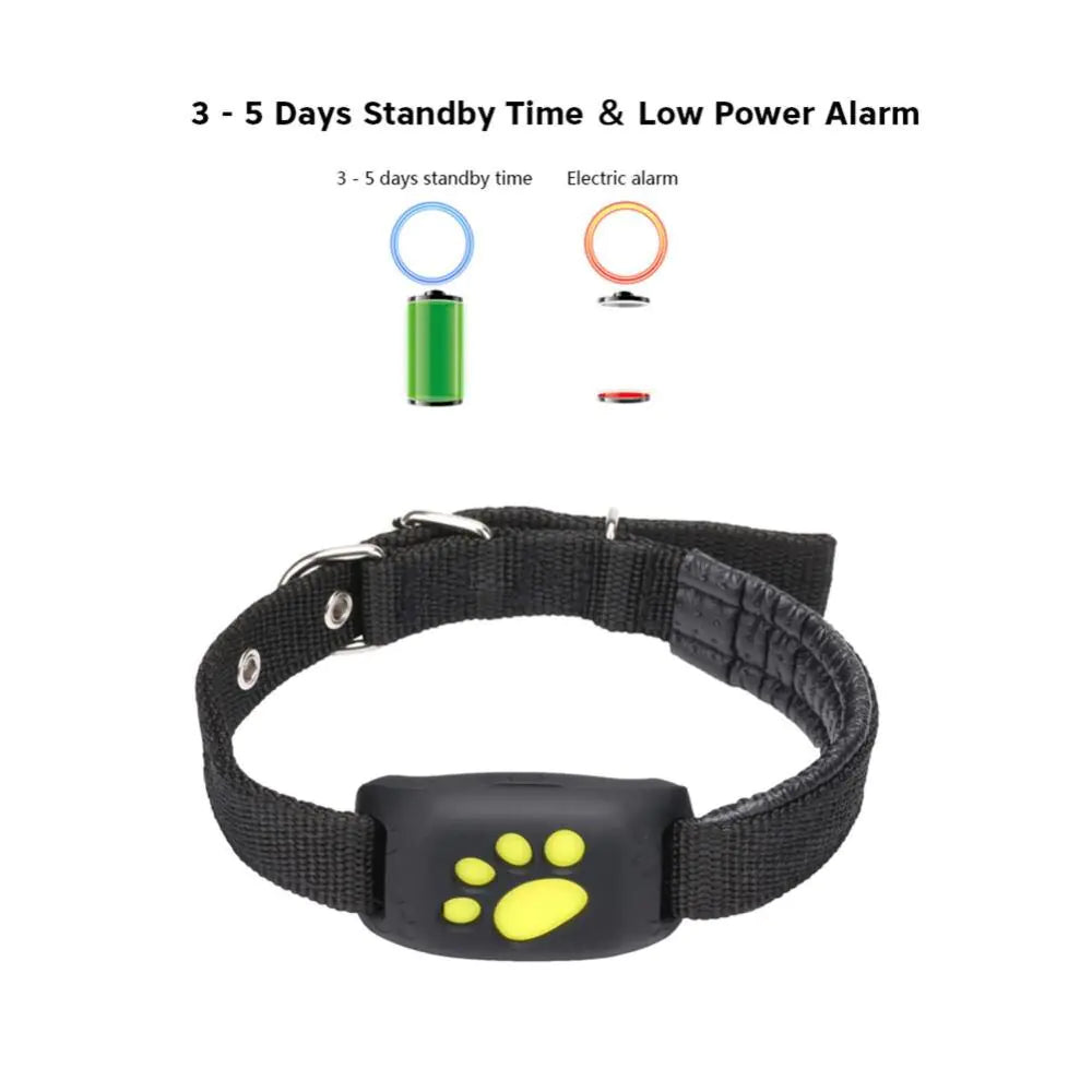 Real-Time Pet GPS Tracker Collar with Adorable Design